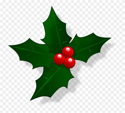 Holly clipart festive, Holly festive Transparent FREE for download on WebStockReview 2024