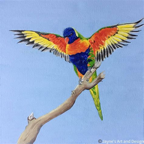 Flying – Rainbow Lorikeet – Outside In