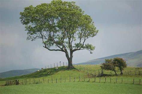 SKIDDAW VIEW HOLIDAY PARK, Cumbria, UK CA7 2JG - Your Parks