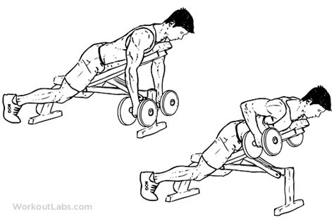 Dumbbell Incline Bench Row | Illustrated Exercise guide - WorkoutLabs