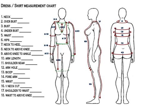 Tailoring measurements | Sewing measurements, Sewing pattern sizes, Pdf ...