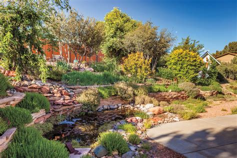 High Desert Delight: Prescott Valley Couple Uses Hillside to Create Garden - Phoenix Home & Garden