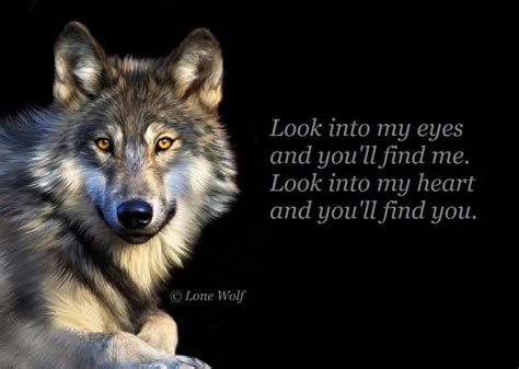 Alpha Wolf Quotes Wallpaper