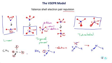 Vsepr Model