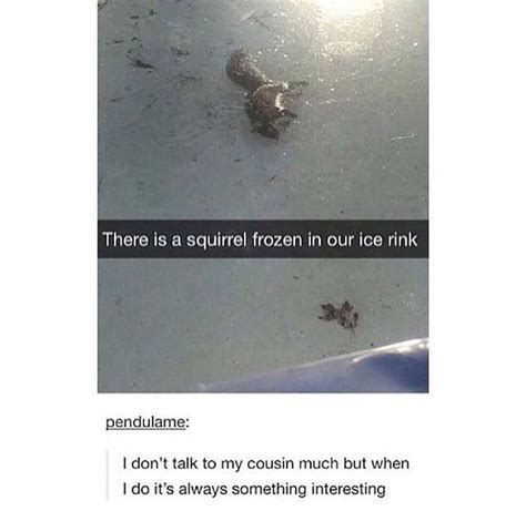 13 best Ice Age Memes! images on Pinterest | Memes humor, Meme and ...