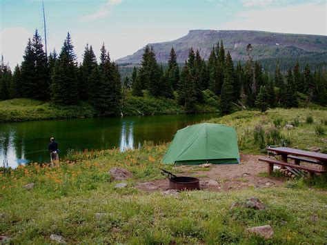 Cold Springs campground California | California camping, Sequoia national park camping, Sequoia ...