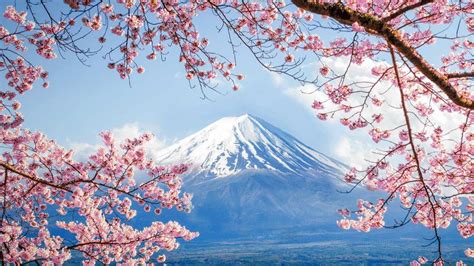 ｢富士山と桜｣山梨, 河口湖 - Bing Gallery