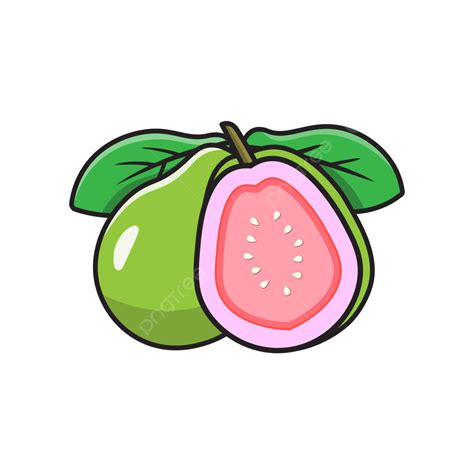 Guava Tree Clipart