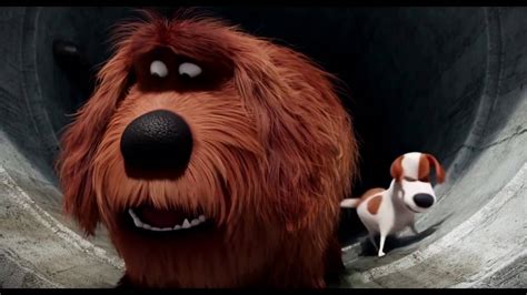 Max and Duke Sausage Party - The Secret Life Of Pets - Angel TV 🎥 - YouTube