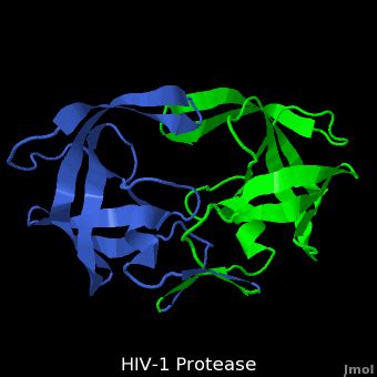 Hiv Virus Structure Animation