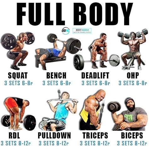 Have you ever trained full body? .Full body workouts(FB) are a great split to follow to in ...