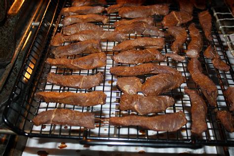 moonpie*prims: Deer Jerky Recipe