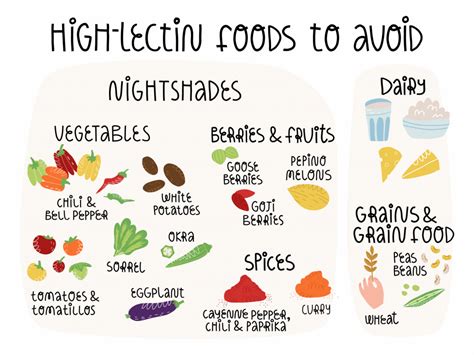 Foods High in Lectins to Avoid - Dr. Robert Kiltz