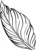 Feather Quill Pen coloring Page  ColouringPages sketch template