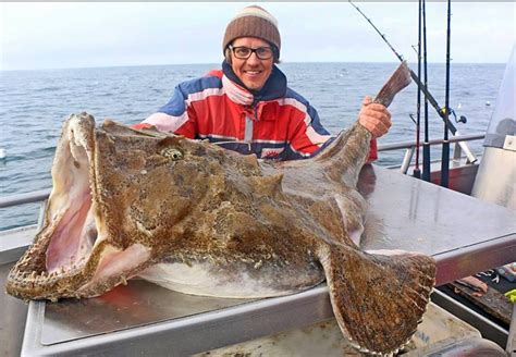 Big Fishes of the World: ANGLER FISH MONKFISH (Lophius piscatorius)