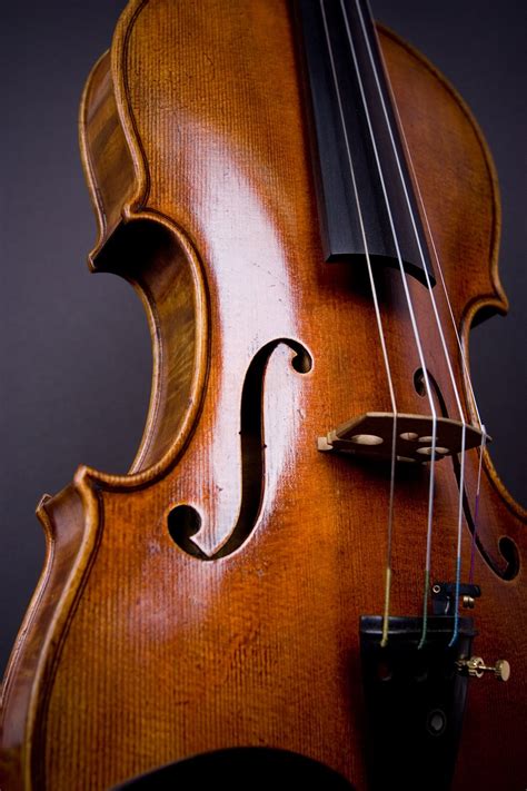 Violin Viola Cello Bass Wallpaper