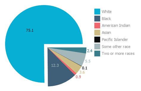 Racial Makeup Of Us Pie Chart | Saubhaya Makeup