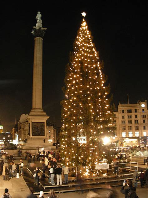 Norway's Christmas Tree I Oxford Open Learning