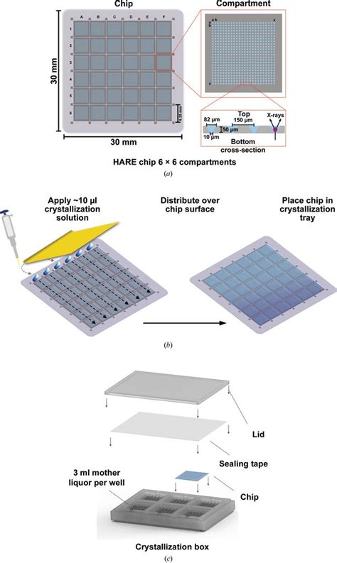 (IUCr) A simple vapor-diffusion method enables protein crystallization ...