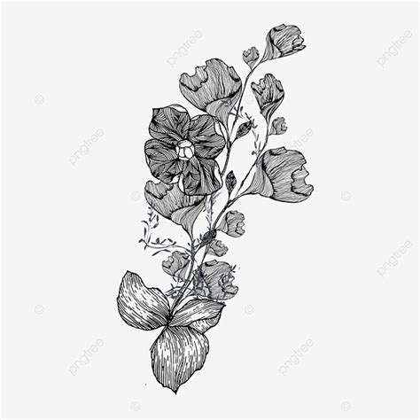 Black And White Flower Vine Drawing - Home Alqu