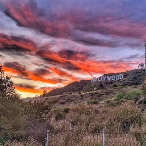 Los Angeles: Hollywood Sign Guided Tour | Tiqets