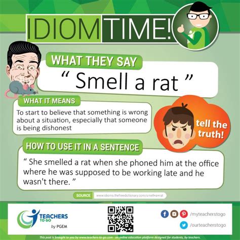 Idiom Time: Smell a rat | Idioms, English vocabulary words, English idioms