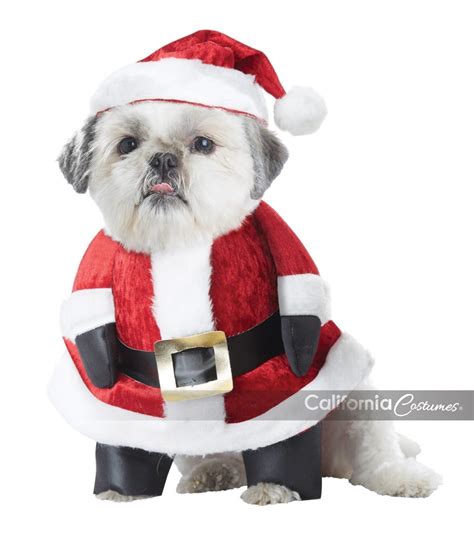 SANTA PAWS / DOG COSTUME - California Costumes