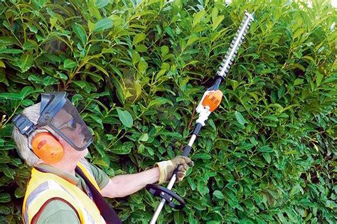 Stihl HLA 65 long-reach hedge trimmer