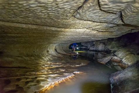 ULTIMATE Guide to visiting Waipu Caves, New Zealand