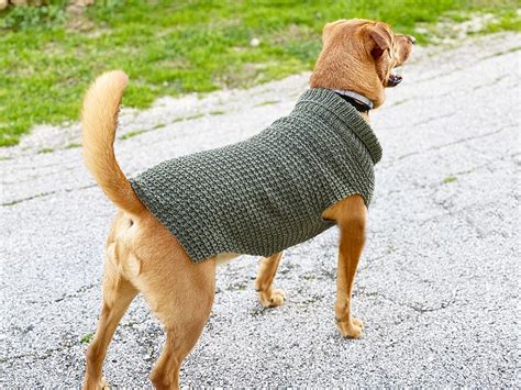 City Stripes Dog Sweater Pattern (Knit) – Lion Brand Yarn ...