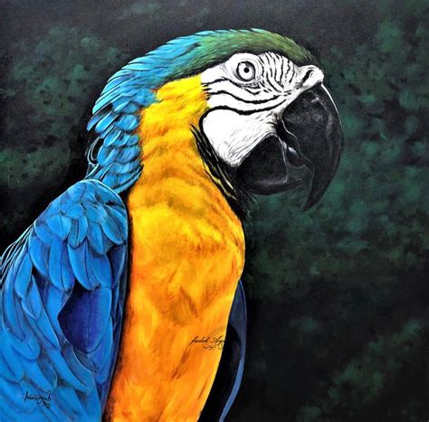 Macaw Parrot Painting by fadel ayoub | Saatchi Art
