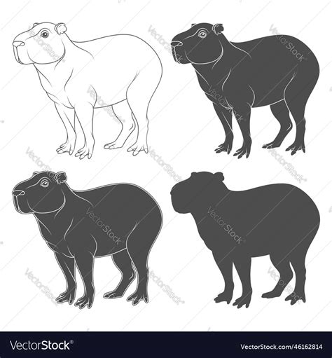 Set of black and white with capybara Royalty Free Vector