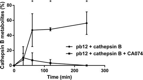 Kinetics of cathepsin B metabolite formation with and without the ...