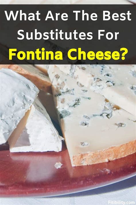 10 Best Fontina Cheese Alternatives To Use That Are Very Tasty - Fitibility