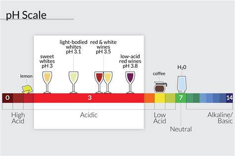 What Is Acidity in Wine? | Wine Enthusiast