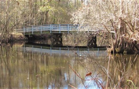 Moores Creek National Battlefield - Fishing | Kids in Parks