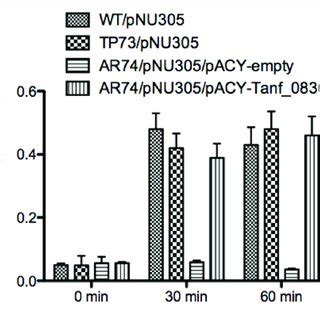 | Reporter assay for detection of AmpG permease activity. The... | Download Scientific Diagram