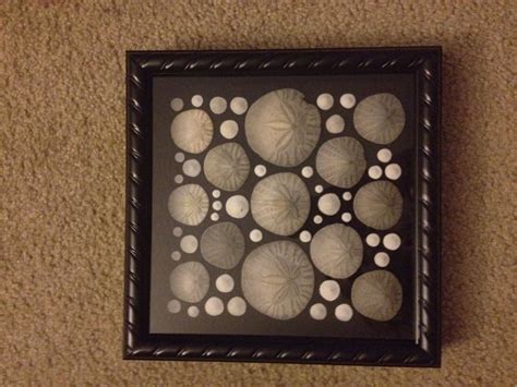 The 25+ best Sand dollar art ideas on Pinterest | Sand dollars, Sand dollar ideas and Sand ...