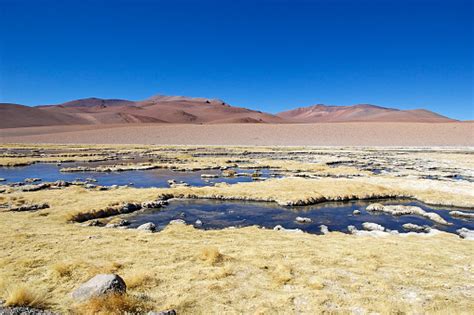 Los Flamencos National Reserve Chile Stock Photo - Download Image Now - American Culture ...