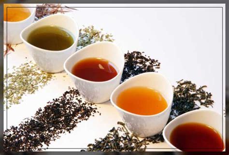 Tea Leaves: Growing it in 7 Steps at Home in 2022 - AAAK