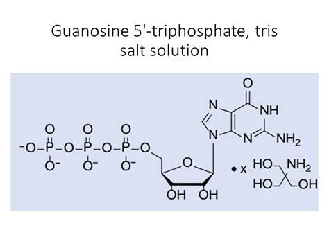 Guanosine 5′-triphosphate, tris salt solution - Akonscientific