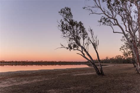 QLD announces $192.5m for Wambo wind farm - Energy Magazine