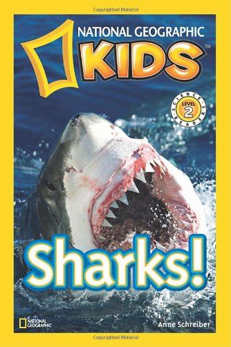 The Best Shark Books for Kids ⋆ Parenting Chaos