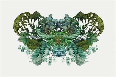 Lucille Clerc - Rorschach Butterfly – Outline Editions