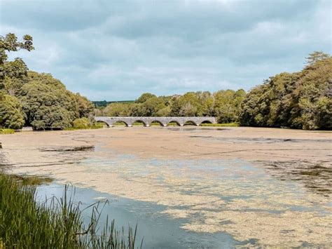 Detailed Guide to the Beautiful Stackpole Wildlife Walk, Pembrokeshire - Travel and Squeak