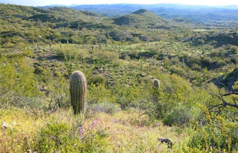 Wickenburg Mountain Ranch - Arizona Land for Sale