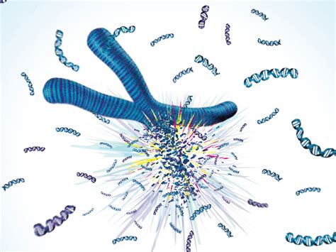 Shattered chromosome cures woman of immune disease | Science | AAAS