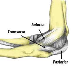 Medial Elbow Ligament Sprain - Symptoms, Causes, Treatment & Rehab