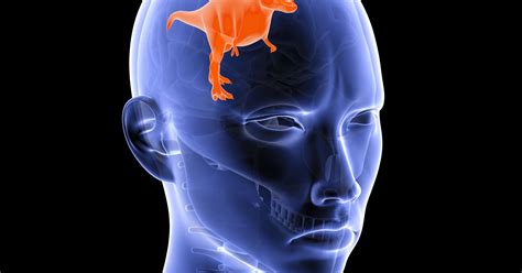 Don’t Listen to Your Lizard Brain | Psychology Today