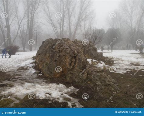 Snow covered Rock editorial image. Image of bank, batter - 50064335